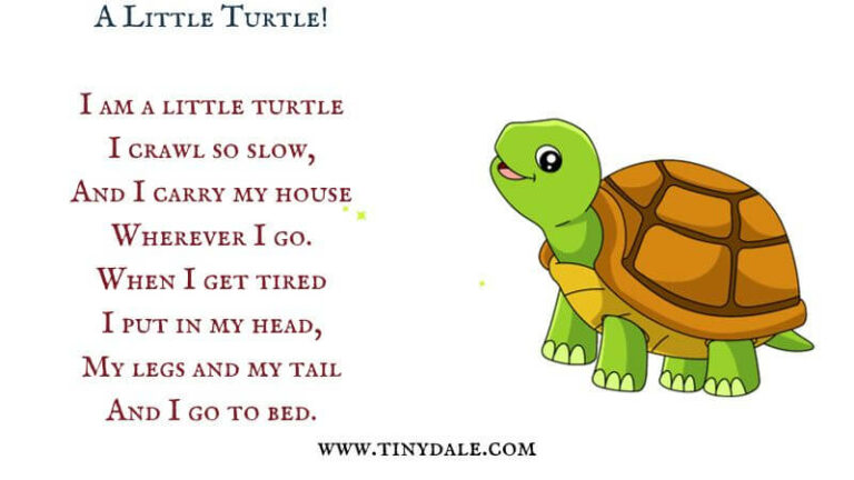 10 Easy Ways To Teach A Little Turtle Poem To Grade 1 Kids!