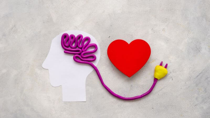 Heart and brain