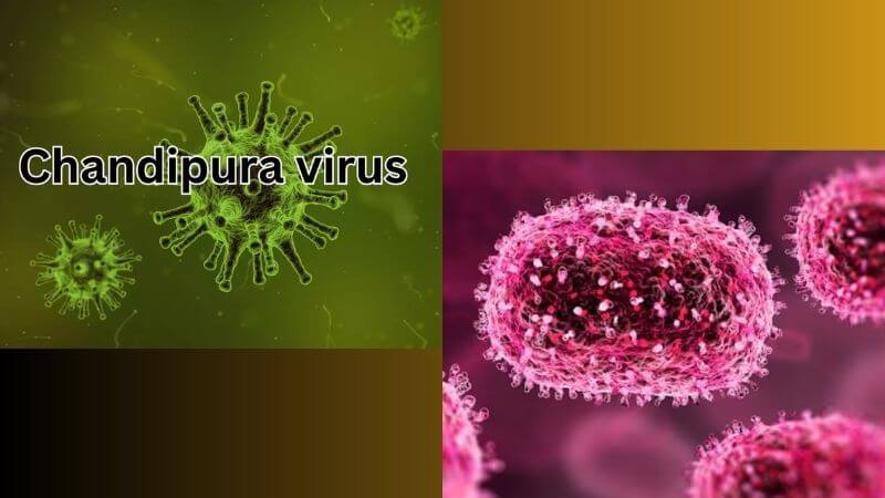 Chandipura virus