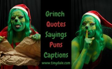 Grinch quotes