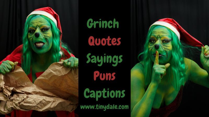 Grinch quotes