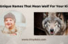 Names That Mean Wolf