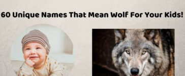 Names That Mean Wolf