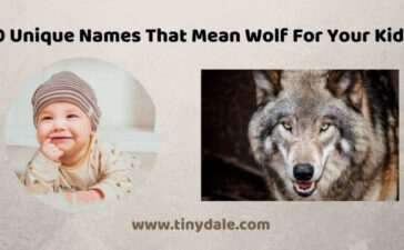 Names That Mean Wolf