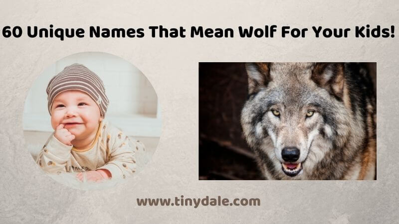 Names That Mean Wolf