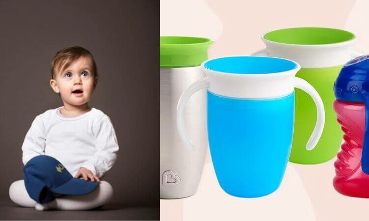 Sippy Cups for Toddlers