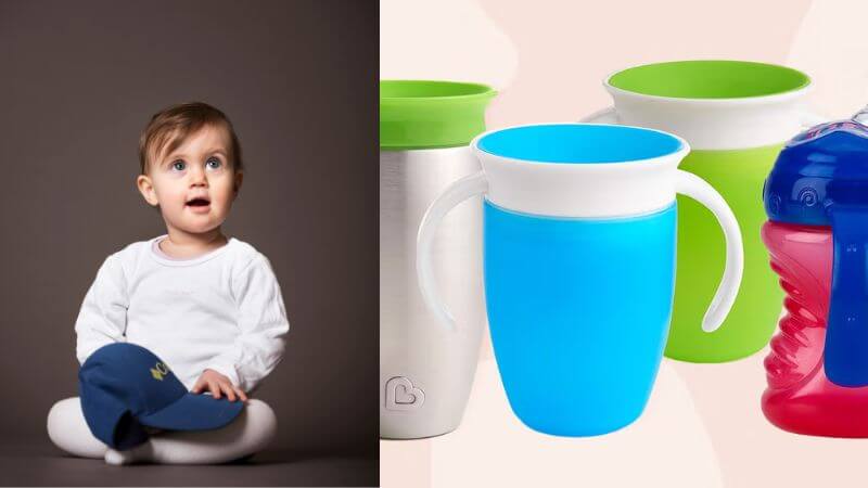 Sippy Cups for Toddlers