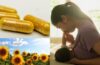 Sunflower lecithin