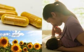 Sunflower lecithin