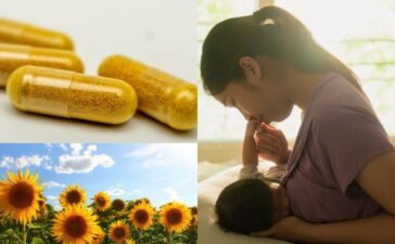 Sunflower lecithin