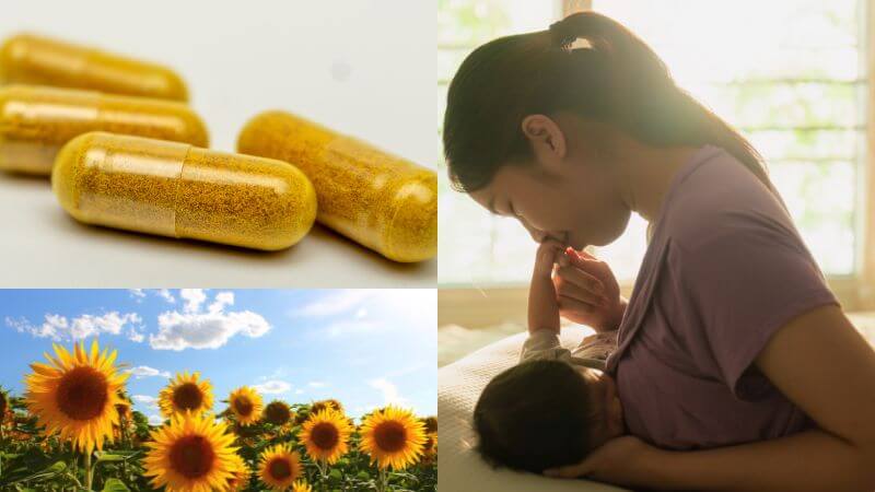 Sunflower lecithin