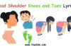 head shoulder knees and toes lyrics