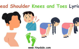 head shoulder knees and toes lyrics