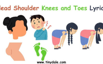 head shoulder knees and toes lyrics