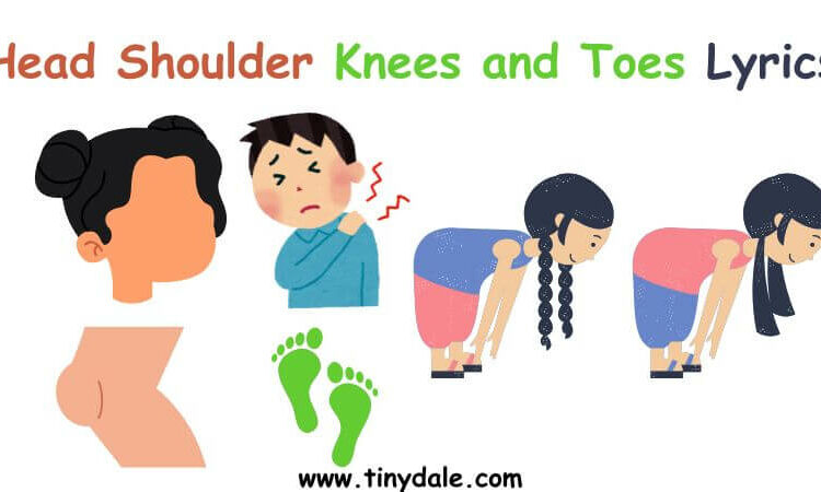 head shoulder knees and toes lyrics