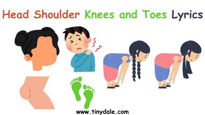 head shoulder knees and toes lyrics