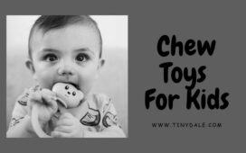 chew toys for kids