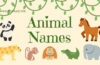 animal beginning with T