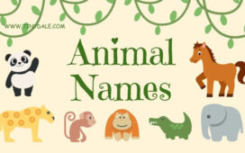 animal names that start with the letter A