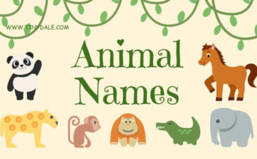 animal beginning with T