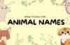 animal beginning with T