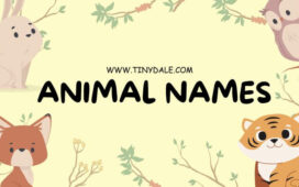 animal beginning with T