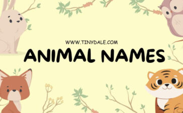 animal beginning with T