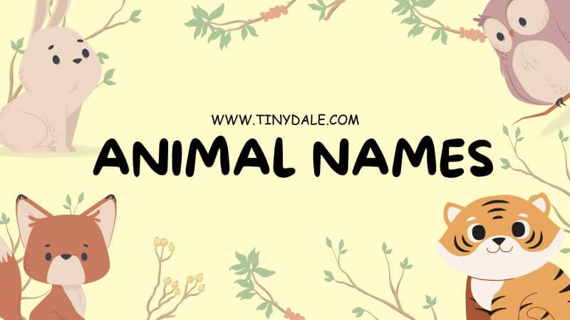 animal names that start with the letter A