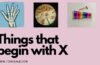 things that begin with x