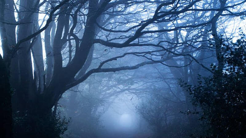 night terrors