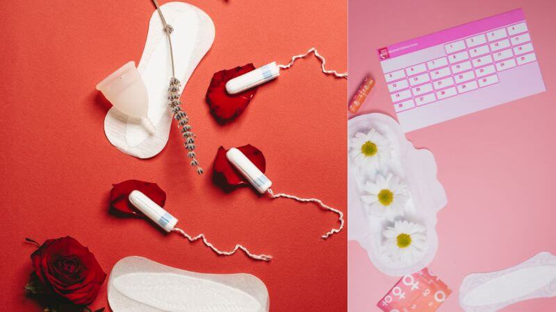 menstrual cycle