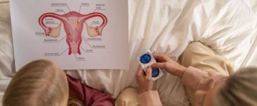 How Much Does A Uterus Weigh