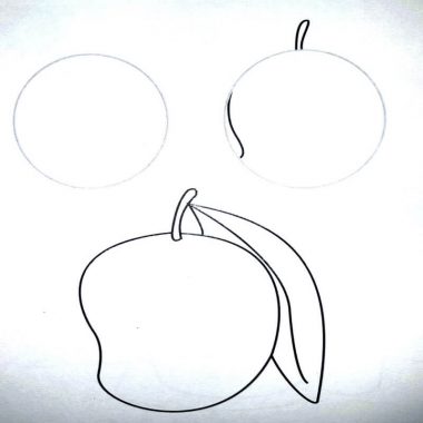 How To Draw Mango In 3 Easy Steps!