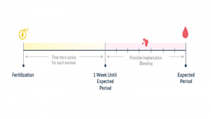 Implantation Bleeding Signs | Implantation Bleeding Calculator